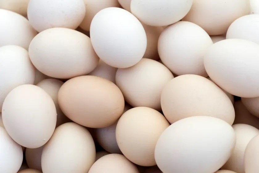 “Salmonella Alert: Key Facts About Recalled Eggs”