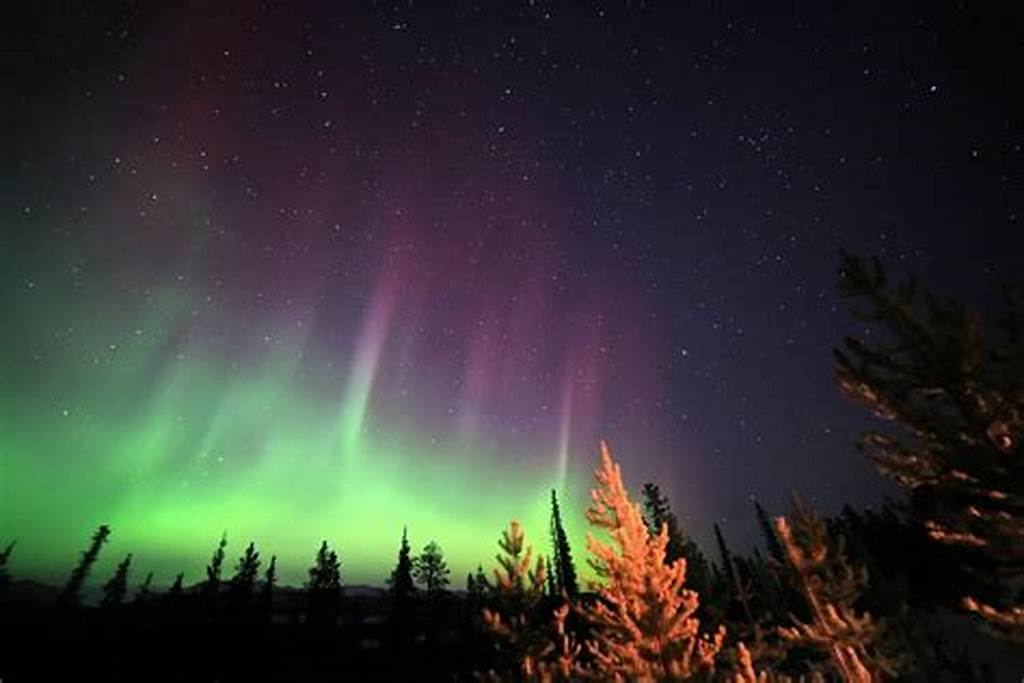 Chasing the Magic: The Northern Lights Experience